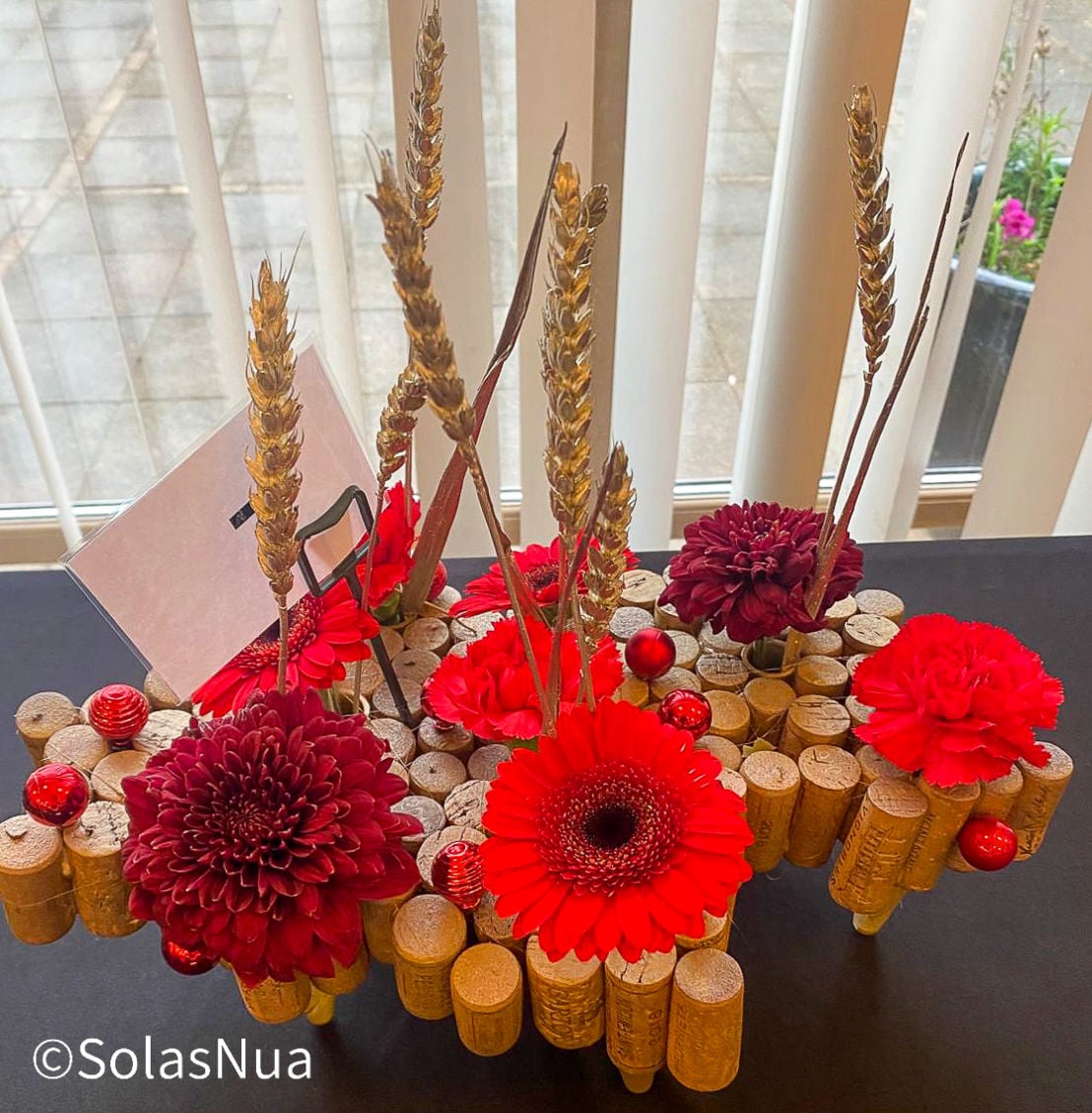 solasnua.club